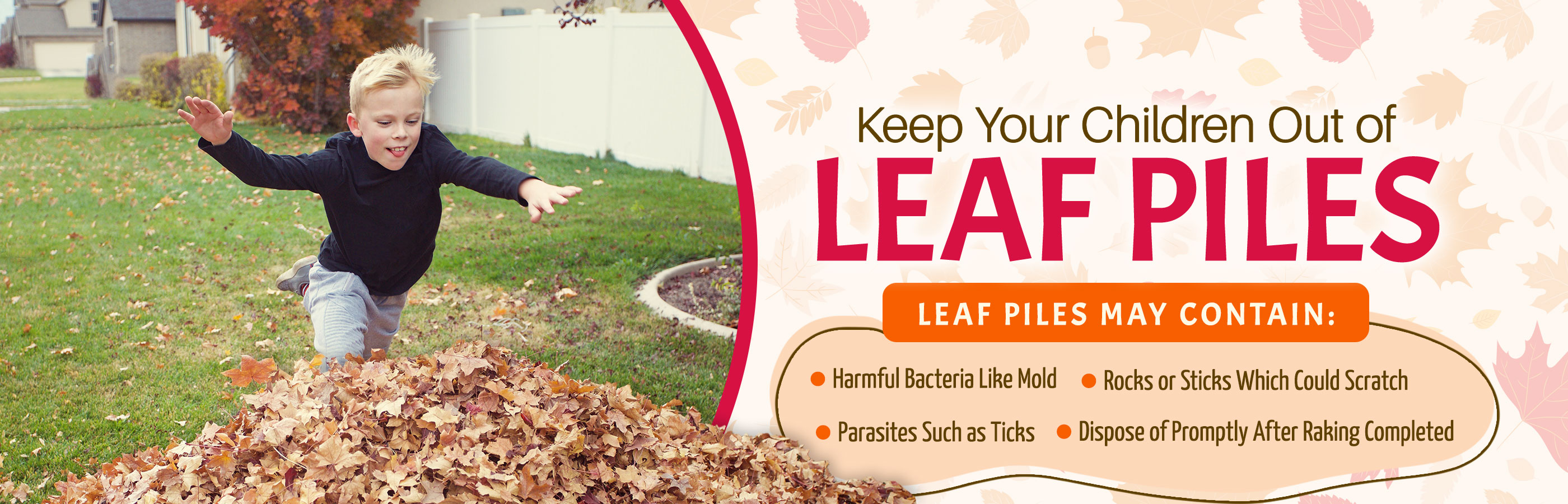 Leaf Piles May Contain